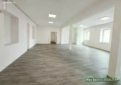Pronájem vily 1300 m², pozemek 1022 m²