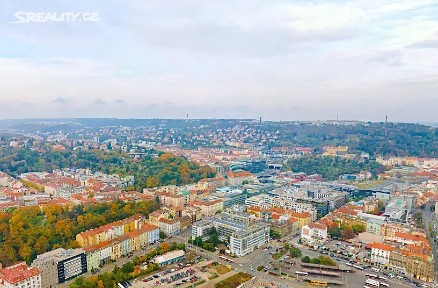 Pronájem kanceláře 200 m²