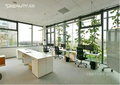 Pronájem kanceláře 530 m²