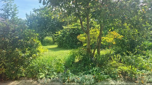 Na Závadě, Ostrava - Slezská Ostrava