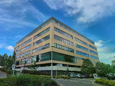 Pronájem kanceláře 237 m²