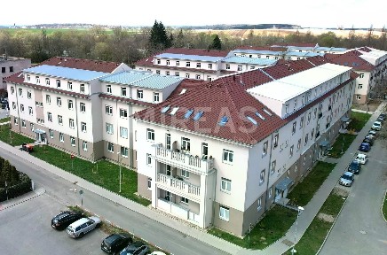 Slepá, Milovice - Mladá