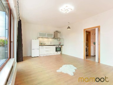 Pronájem bytu 1+kk 30 m²