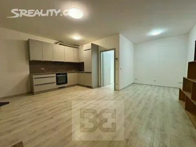 Pronájem bytu 1+kk 44 m²