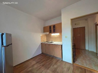 Pronájem bytu 1+1 40 m²