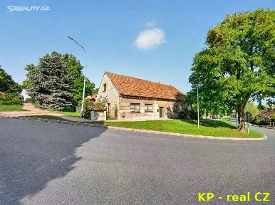 Bříza