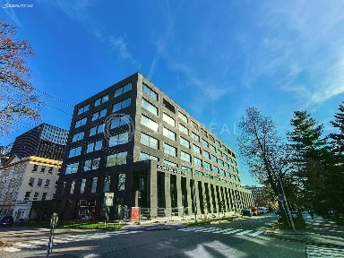 Pronájem kanceláře 450 m²
