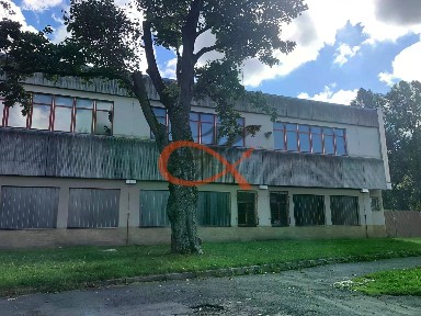 Dukelská, Kraslice