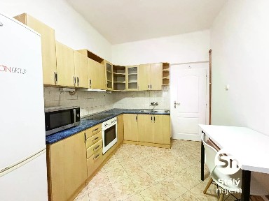 Pronájem bytu 1+1 48 m²