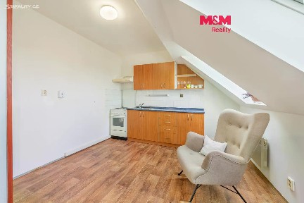 Prodej bytu 1+1 45 m²