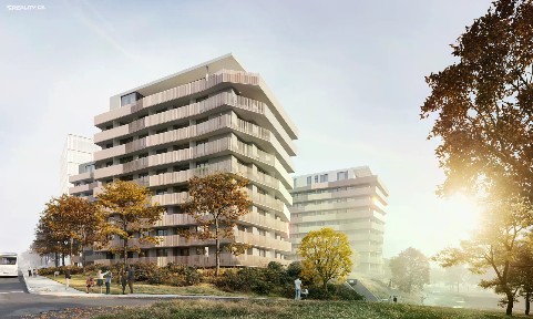 Jihlavská, Brno