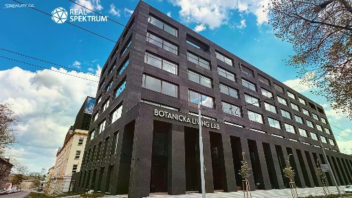 Pronájem kanceláře 250 m²