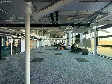 Pronájem kanceláře 300 m²