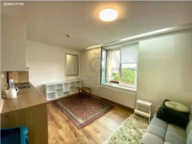 Pronájem bytu 1+kk 30 m²