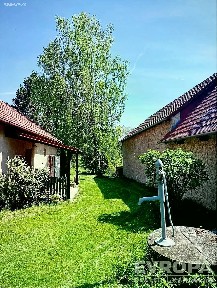 Rašovice - Netušil