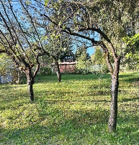 Stříbrná Skalice