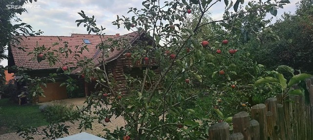 Prodej rodinného domu 296 m², pozemek 1186 m²