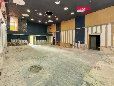 Pronájem obchodního prostoru 237 m²
