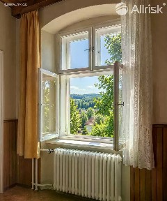 Janov