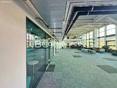 Pronájem kanceláře 380 m²