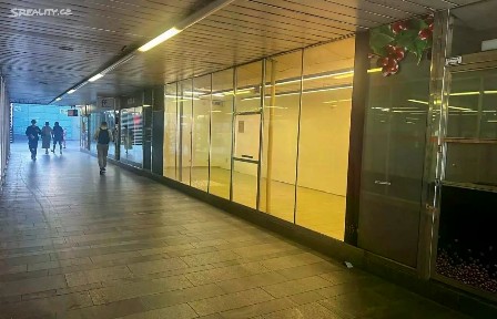 Pronájem obchodního prostoru 30 m²