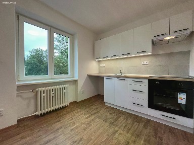 Pronájem bytu 1+1 30 m²