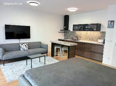 Pronájem bytu 1+kk 45 m²