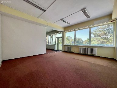 Pronájem kanceláře 250 m²