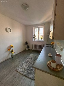 Pronájem bytu 1+1 47 m²