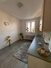 Pronájem bytu 1+1 47 m²