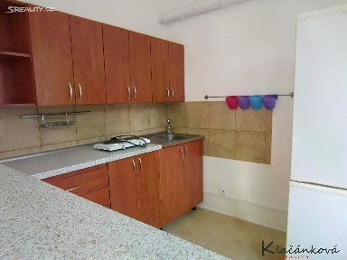 Pronájem bytu 1+kk 45 m²