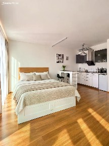 Pronájem bytu 1+kk 40 m²