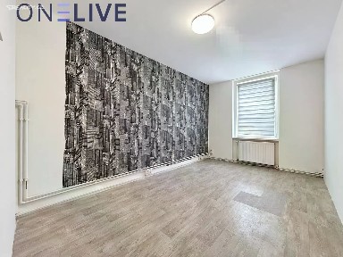 Pronájem bytu 2+1 50 m²