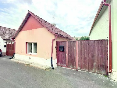 Bříza