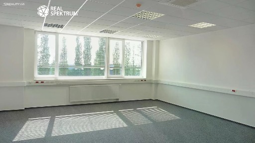 Pronájem kanceláře 163 m²