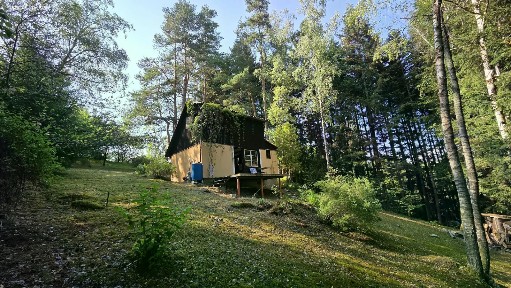 Bujanov