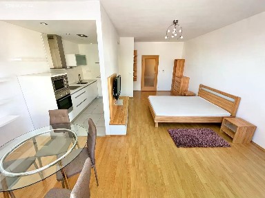 Pronájem bytu 1+kk 45 m²