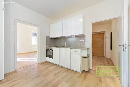 Pronájem bytu 1+1 42 m²