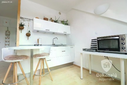 Pronájem bytu 1+kk 45 m²