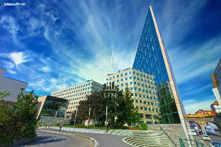 Pronájem kanceláře 135 m²