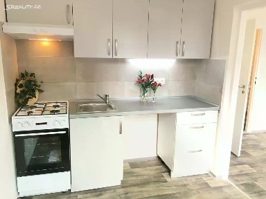 Pronájem bytu 2+1 44 m²