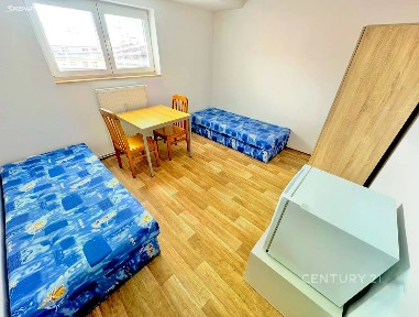 Pronájem bytu pokoje 12 m²