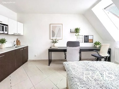 Prodej bytu 1+kk 30 m²