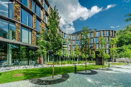 Pronájem kanceláře 374 m²