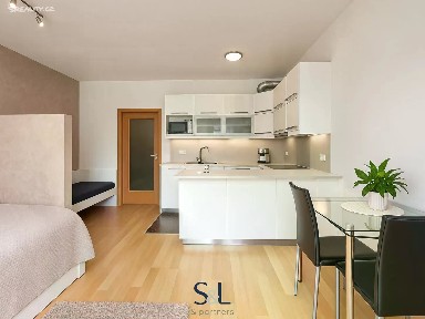 Pronájem bytu 1+kk 40 m²