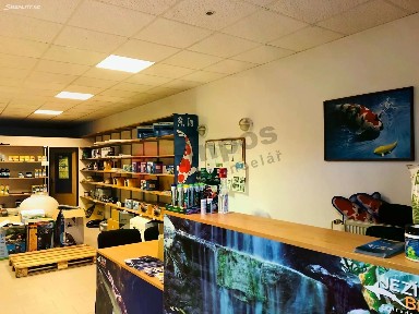 Pronájem obchodního prostoru 79 m²