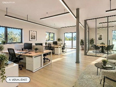 Pronájem kanceláře 150 m²