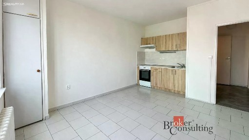 Pronájem bytu 1+1 48 m²