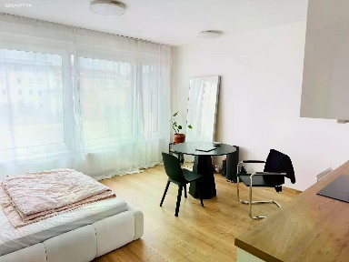 Pronájem bytu 1+kk 36 m²