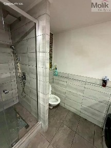 Prodej bytu 3+1 54 m²